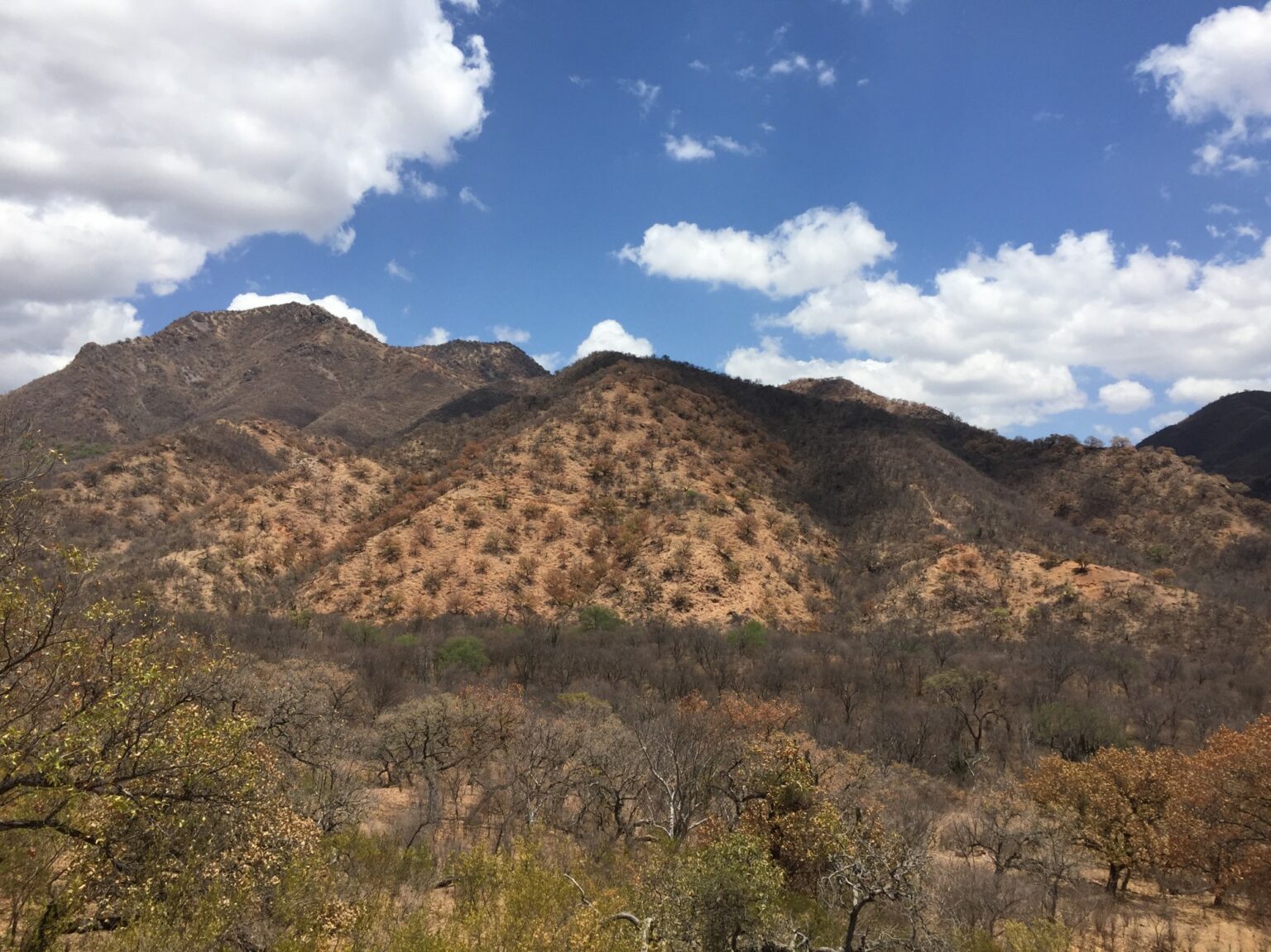 Aztec Reports Final Gold and Multi-Element Results From 2023 RC ...
